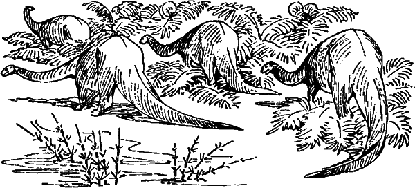 Краснокожая хищница - i_005.png