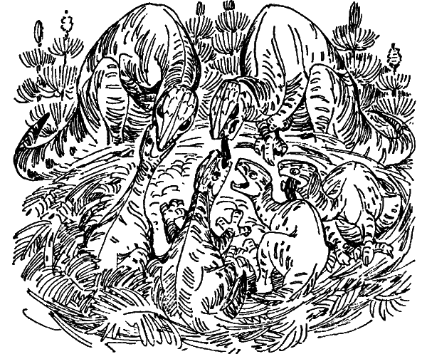 Краснокожая хищница - i_010.png