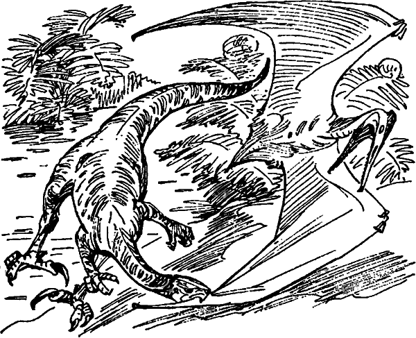 Краснокожая хищница - i_011.png