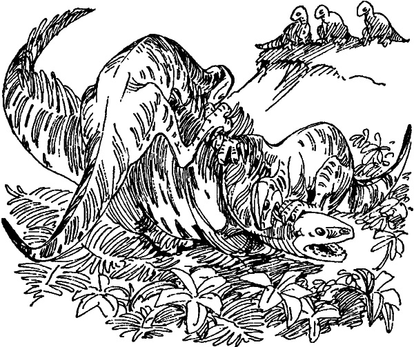 Краснокожая хищница - i_015.png