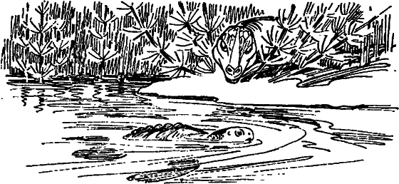 Краснокожая хищница - i_022.png