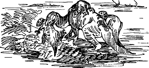 Краснокожая хищница - i_025.png