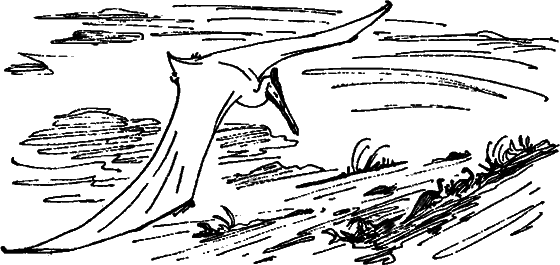 Краснокожая хищница - i_026.png