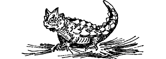 Краснокожая хищница - i_031.png