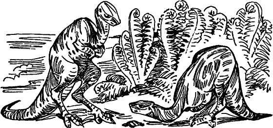 Краснокожая хищница - i_032.png