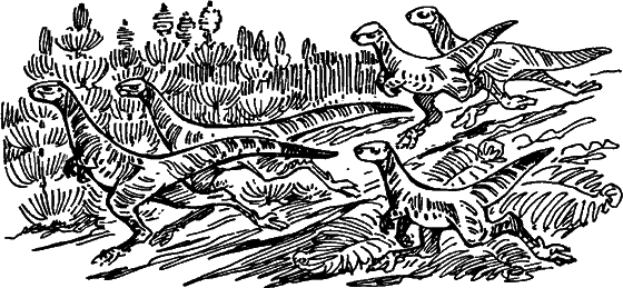 Краснокожая хищница - i_038.png