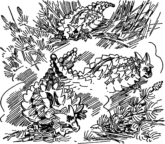 Краснокожая хищница - i_039.png