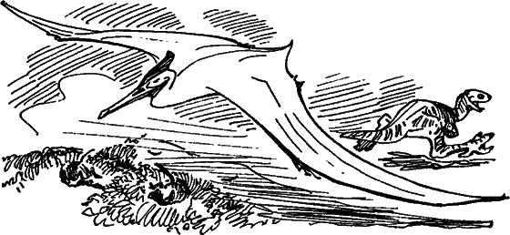 Краснокожая хищница - i_042.png