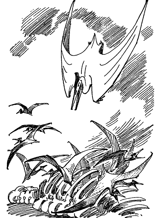 Краснокожая хищница - i_043.png