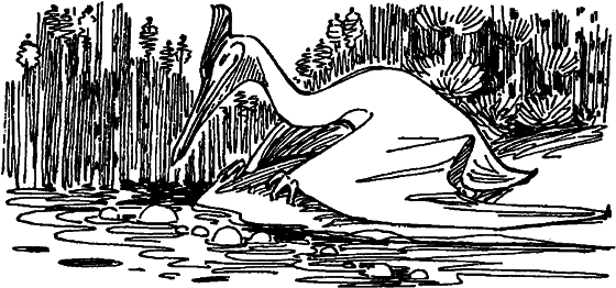 Краснокожая хищница - i_046.png