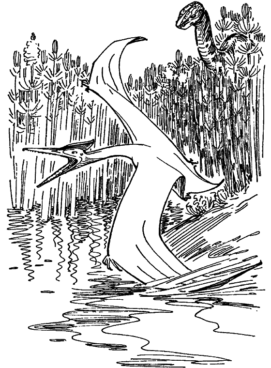 Краснокожая хищница - i_047.png