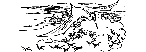 Краснокожая хищница - i_048.png