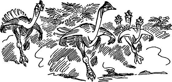 Краснокожая хищница - i_049.png