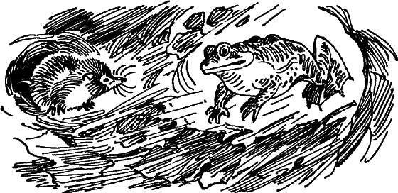 Краснокожая хищница - i_053.png