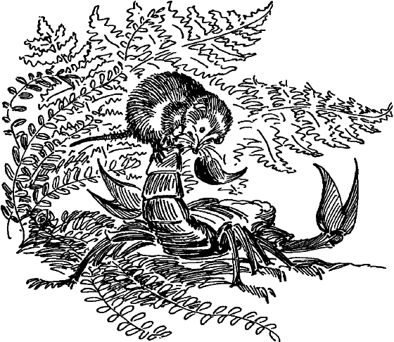 Краснокожая хищница - i_057.png