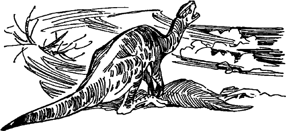 Краснокожая хищница - i_062.png