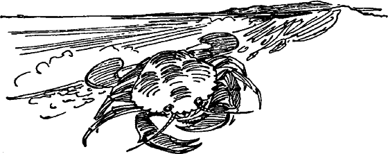 Краснокожая хищница - i_063.png