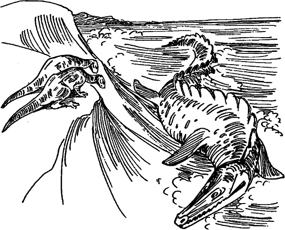 Краснокожая хищница - i_064.png