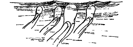 Краснокожая хищница - i_065.png