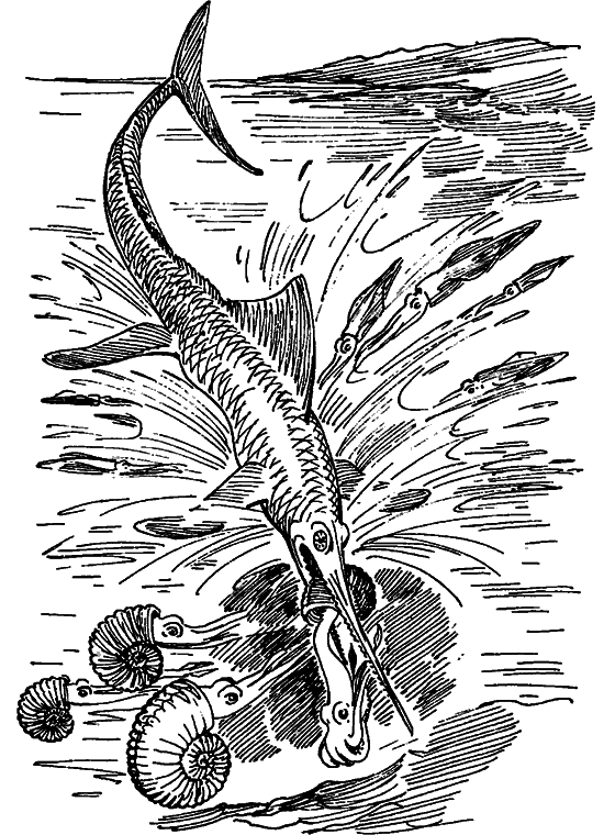 Краснокожая хищница - i_067.png