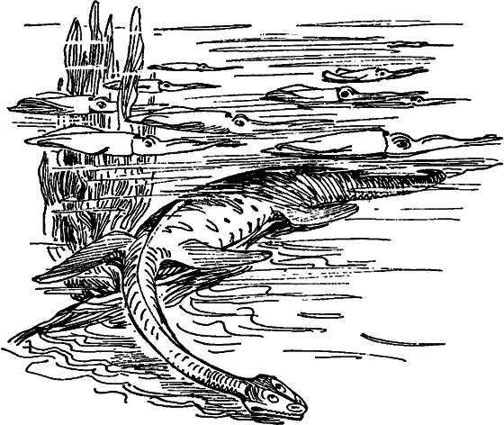 Краснокожая хищница - i_068.png