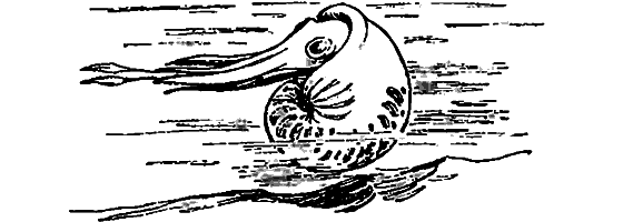 Краснокожая хищница - i_069.png