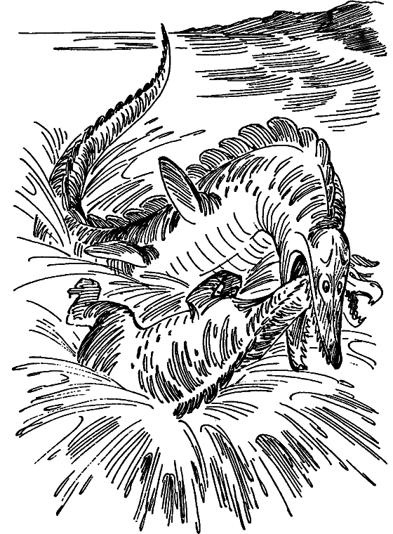 Краснокожая хищница - i_072.png