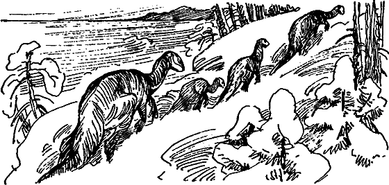 Краснокожая хищница - i_074.png