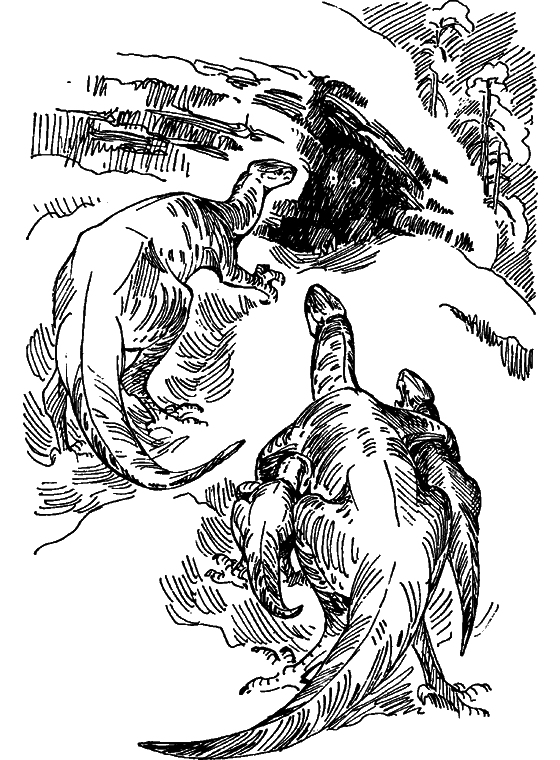 Краснокожая хищница - i_076.png