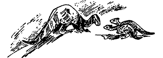 Краснокожая хищница - i_078.png