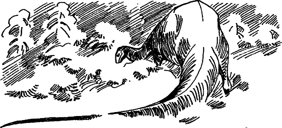 Краснокожая хищница - i_079.png