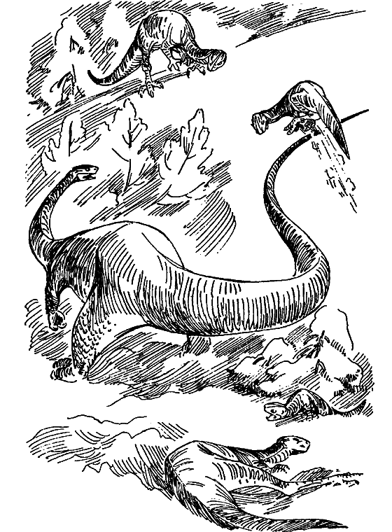 Краснокожая хищница - i_080.png