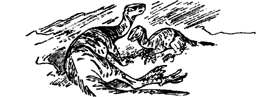 Краснокожая хищница - i_081.png