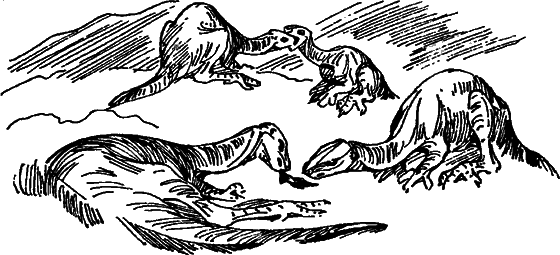 Краснокожая хищница - i_082.png