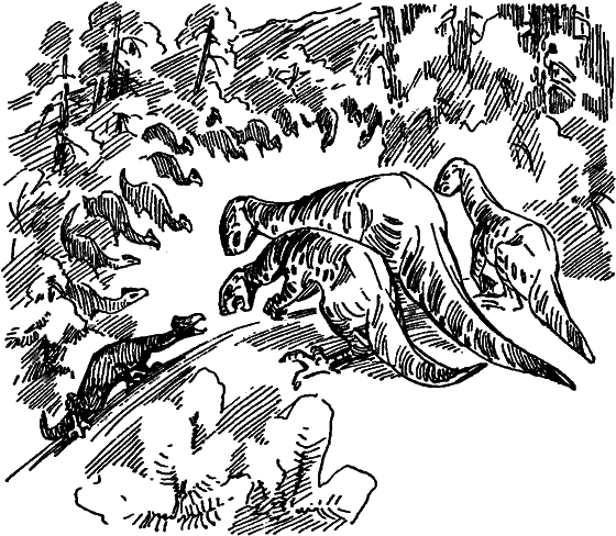 Краснокожая хищница - i_083.png