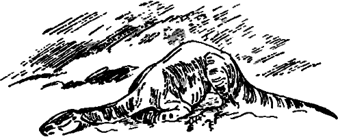 Краснокожая хищница - i_084.png