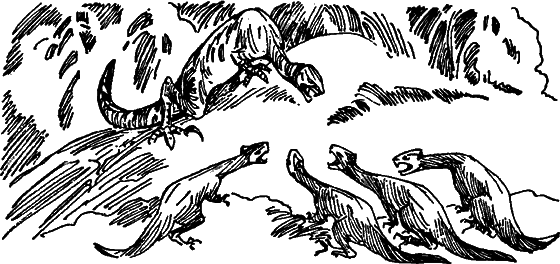 Краснокожая хищница - i_085.png