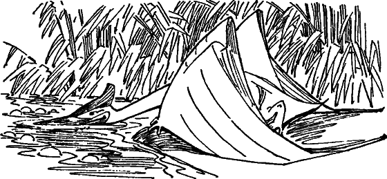 Краснокожая хищница - i_089.png