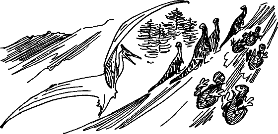 Краснокожая хищница - i_092.png