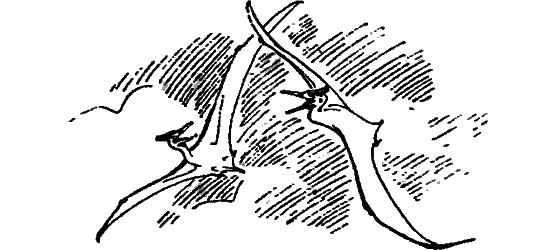 Краснокожая хищница - i_093.png