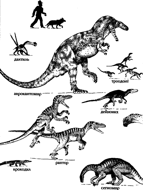 Краснокожая хищница - i_094.png