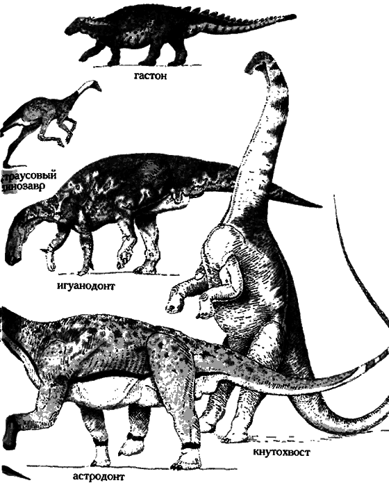 Краснокожая хищница - i_095.png