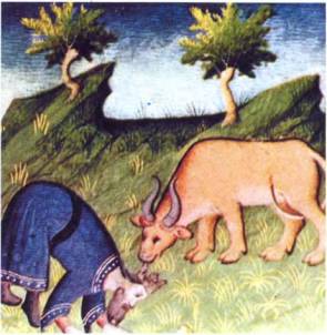 Тамплиеры: история и легенды - _12.jpg