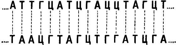 Беседы о жизни - i_007.png