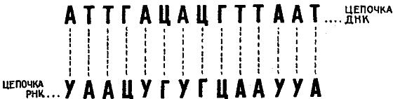 Беседы о жизни - i_009.png