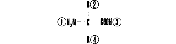 Беседы о жизни - i_017.png