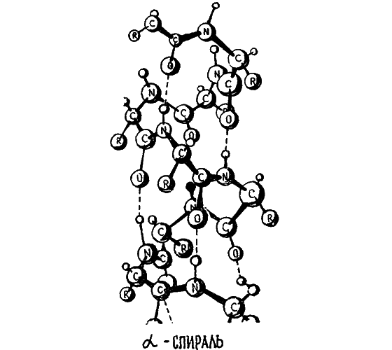 Беседы о жизни - i_029.png