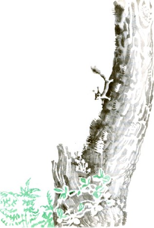 Тяпкин и Лёша - i_019.jpg