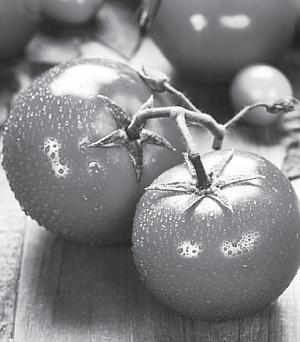 Золотые шесть соток - _01.jpg