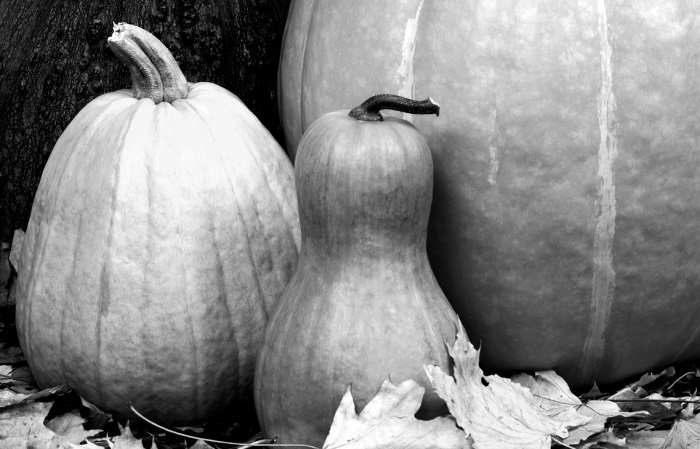 Справочник умелого огородника - i_004.jpg